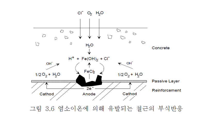 그림 2.2 - 염소이온에 의해 유발되는 철근의 부식반응 [5]