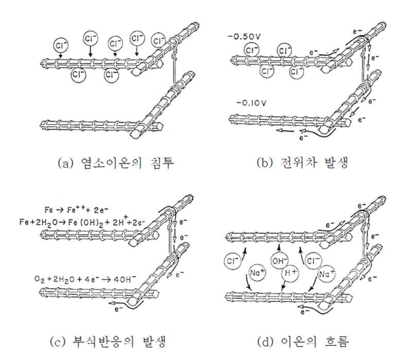 그림 2.3 - 염소이온에 의한 철근의 부식과정 [5]