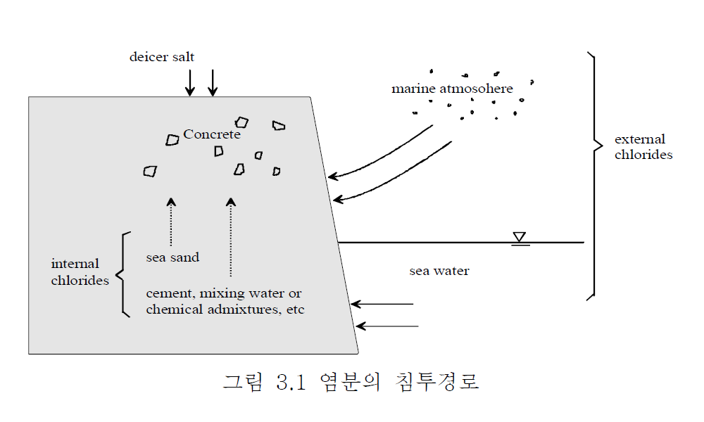 염분의 침투 경로