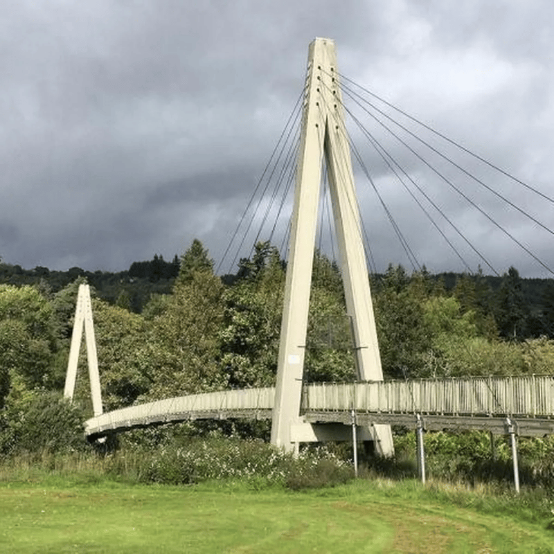 Longest span plastic bridge_new