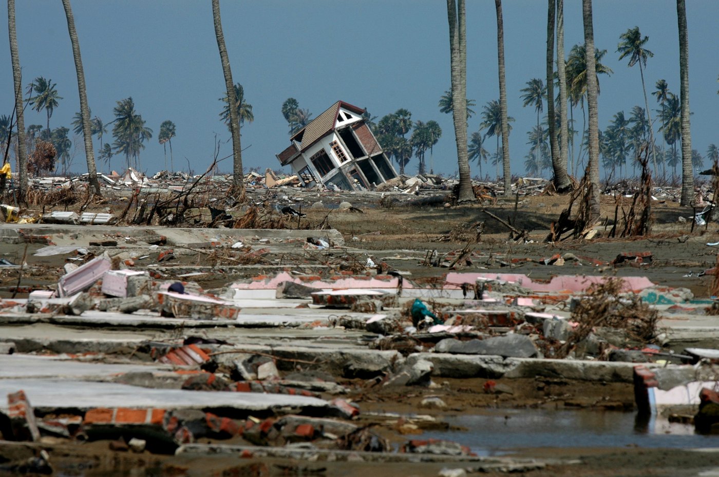 2004 Indian Ocean earthquake and tsunami